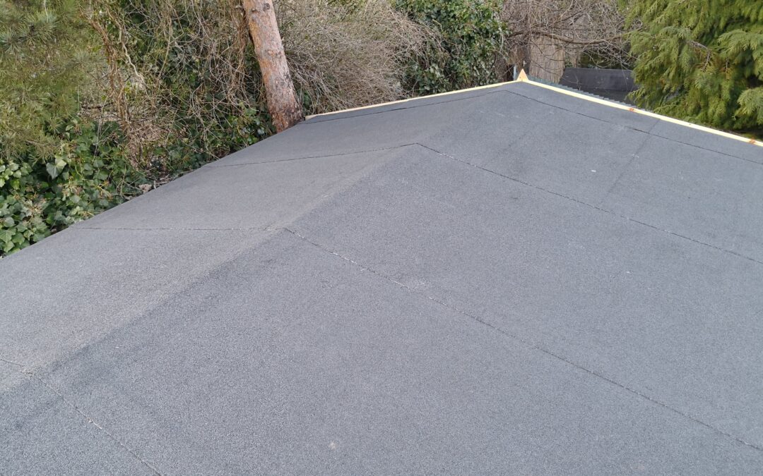 Apex Shed Roof
