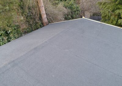 Apex Shed Roof